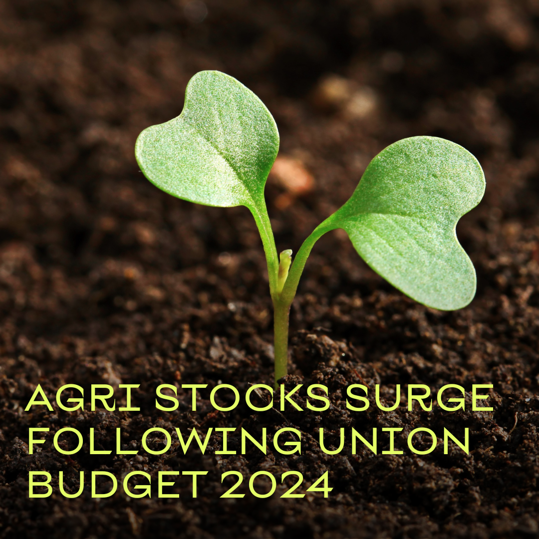 Agri Stocks Surge Following Union Budget 2024