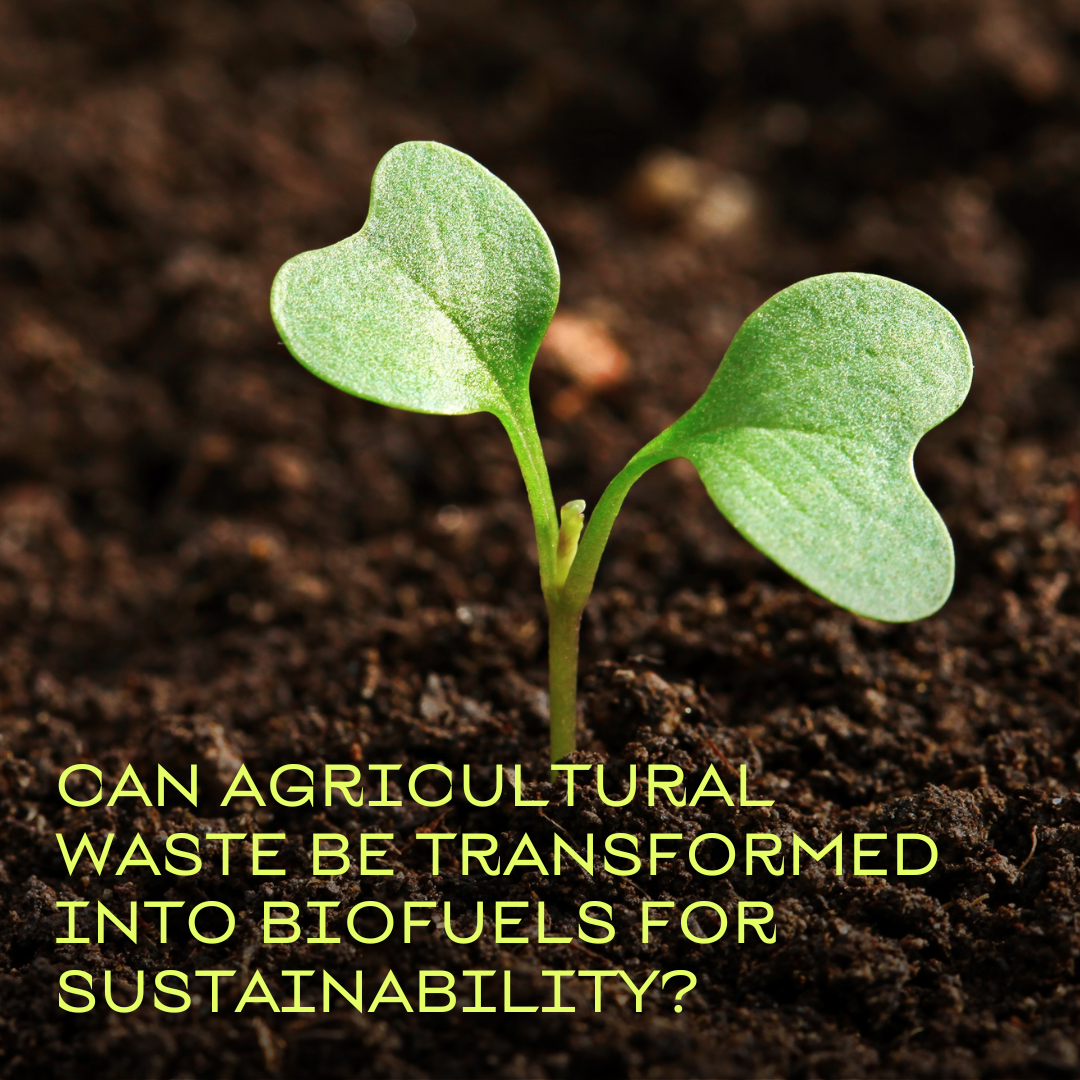 Can agricultural waste be transformed into biofuels for sustainability?